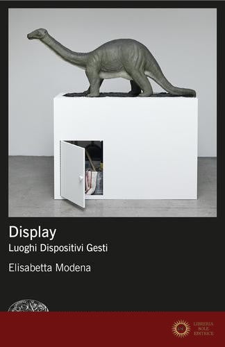 Display. Luoghi, dispositivi, gesti - Elisabetta Modena