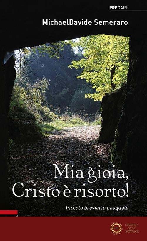 Mia gioia, Cristo è risorto! Meditazioni quotidiane da Pasqua a Pentecoste. Ediz. plastificata - MichaelDavide Semeraro