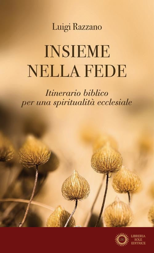 Insieme nella fede. Itinerario biblico per una spiritualità ecclesiale - Luigi Razzano