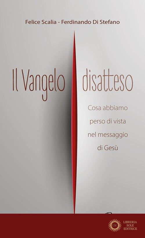 Il Vangelo disatteso. Cosa abbiamo perso di vista nel messaggio di Gesù - Felice Scalia, Ferdinando Di Stefano