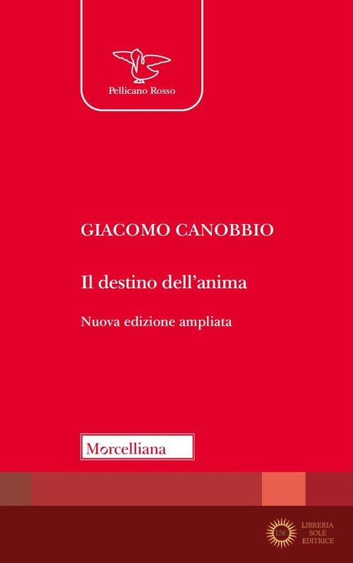 Il destino dell'anima. Elementi per una teologia. Ediz. ampliata - Giacomo Canobbio