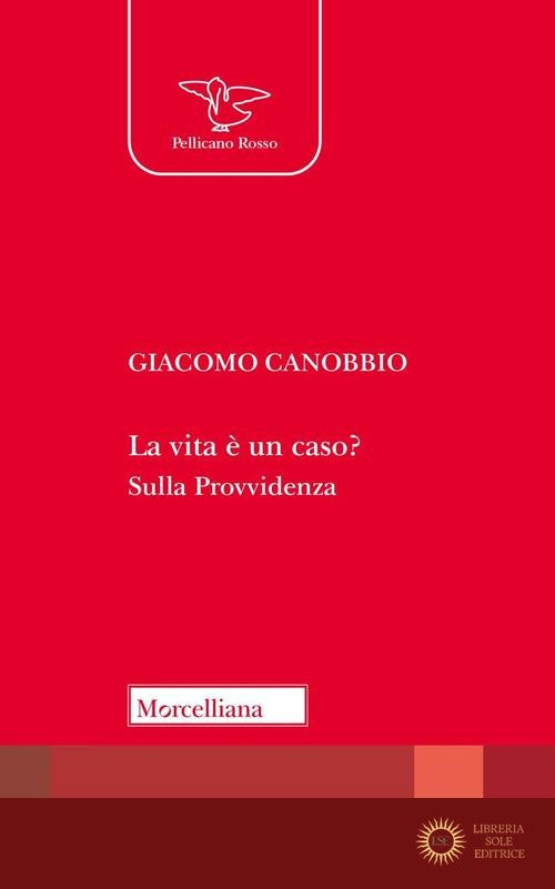La vita è un caso? Sulla Provvidenza - Giacomo Canobbio