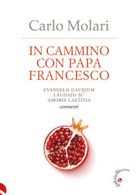 In cammino con papa Francesco. Evangelii Gaudium, Laudato si', Amoris laetitia. Commenti - Carlo Molari