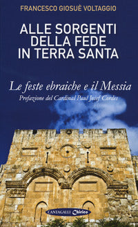 Alle sorgenti della fede in Terrasanta vol. 1 - Francesco Giosué Voltaggio
