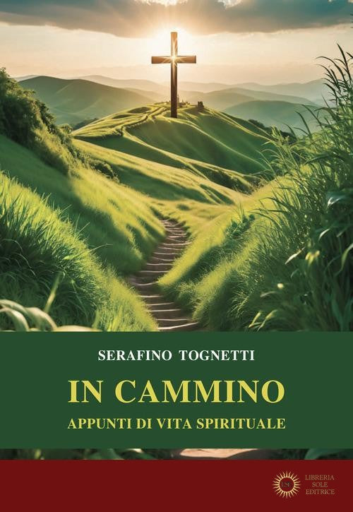 In cammino. Appunti di vita spirituale - Serafino Tognetti