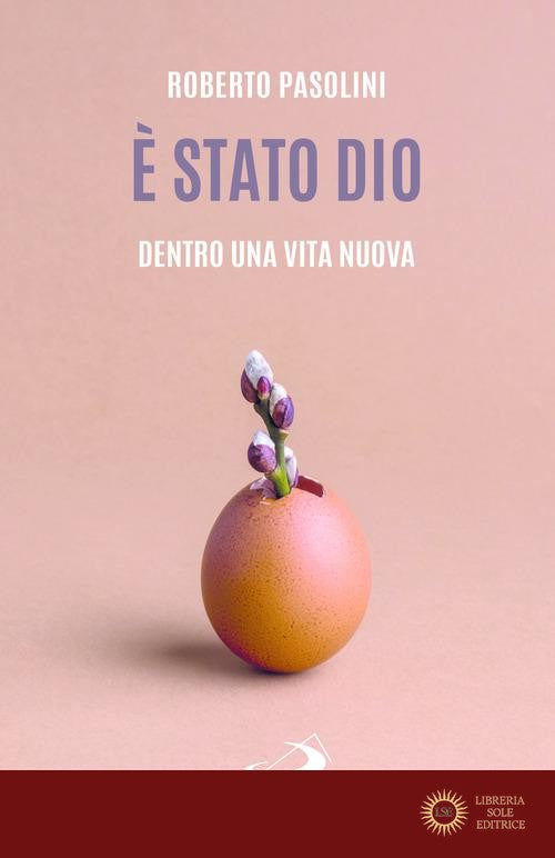 È stato Dio. Dentro una vita nuova - Roberto Pasolini