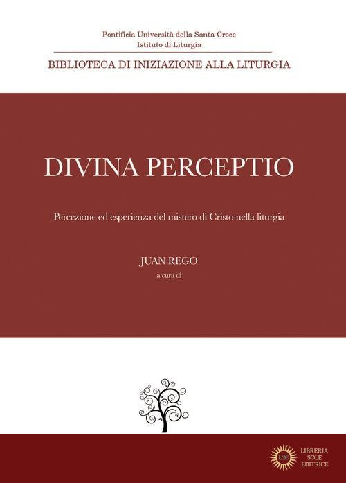 Divina perceptio. Percezione ed esperienza del mistero di Cristo nella liturgia - Juan Rego