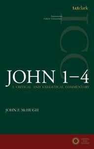 John 1-4: A Critical and Exegetical Commentary - John F. McHugh