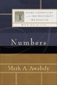 Numbers - Mark A. Awabdy