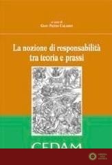 La nozione di responsabilità tra teoria e prassi - G. P. Calabrò