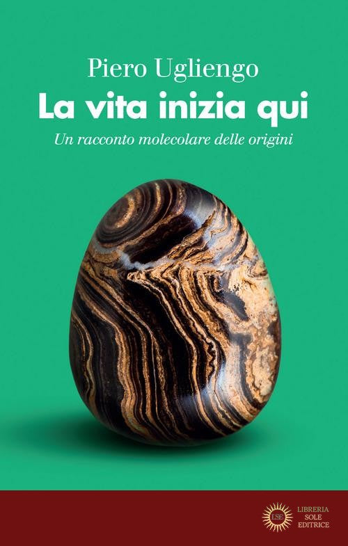 La vita inizia qui. Un racconto molecolare delle origini - Piero Ugliengo