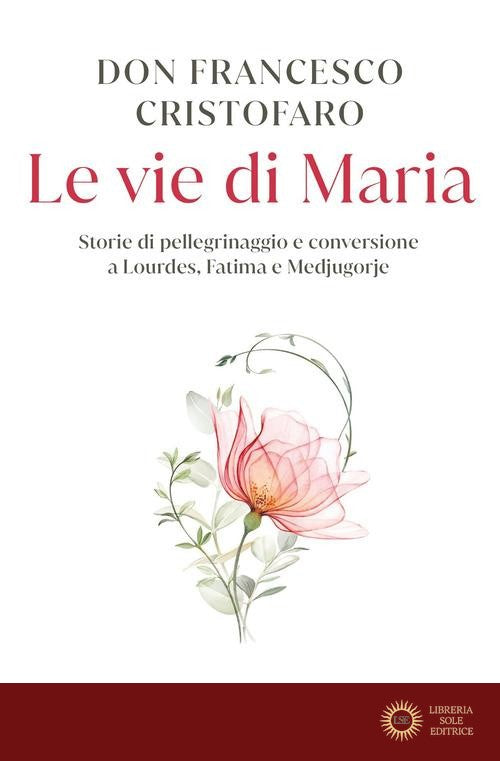 Le vie di Maria. Storie di pellegrinaggio e conversione a Lourdes, Fatima e Medjugorje - Francesco (don) Cristofaro
