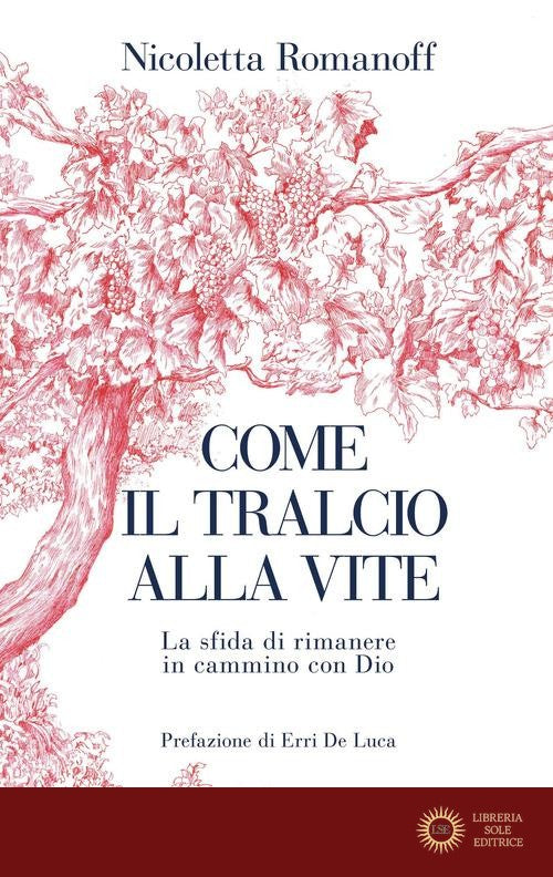 Come il tralcio alla vite. La sfida di rimanere in cammino con Dio
