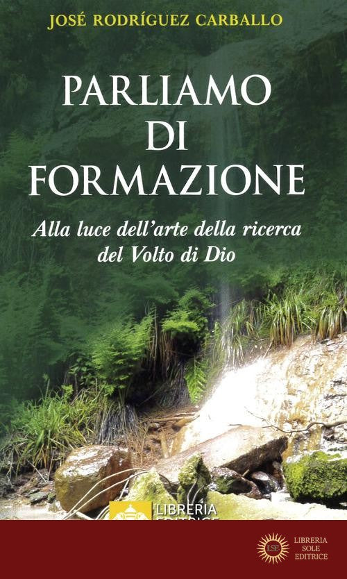 Parliamo di formazione. Alla luce dell'arte della ricerca del Volto di Dio
