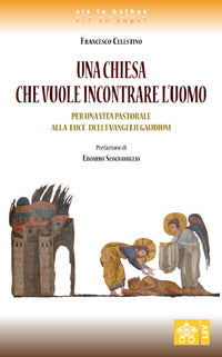 Una Chiesa che vuole incontrare l'uomo. Per una vita pastorale alla luce dell'Evangelii gaudium - Celestino Francesco