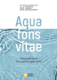 Aqua fons vita. Valuing and caring for a common good: Water. Acta post webinar. March 22-26, 2021. Ediz. multilingue - Dicastero per il servizio dello sviluppo umano int, T. Vinciguerra
