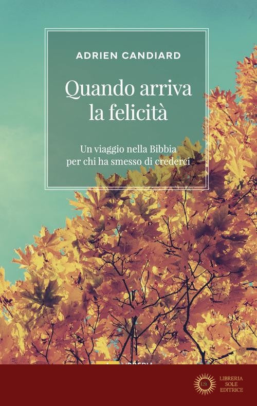 Quando arriva la felicità. Un viaggio nella Bibbia per chi ha smesso di crederci