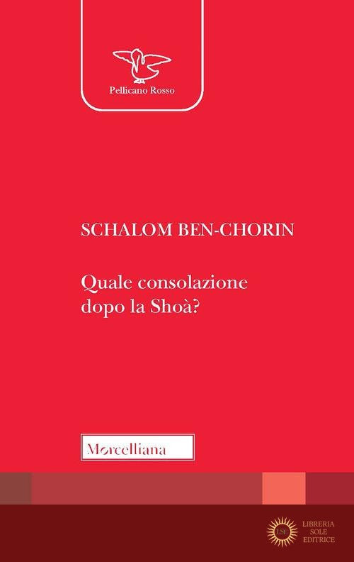 Quale consolazione dopo la Shoah? Ediz. ampliata