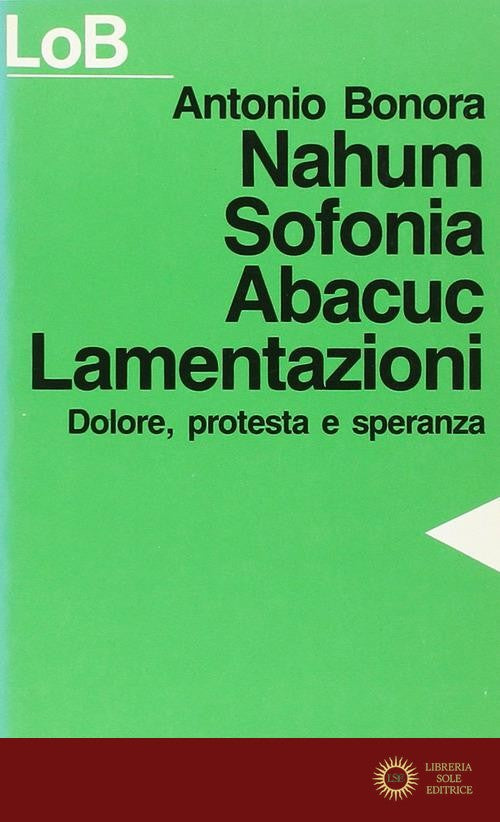Nahum, Sofonia, Abacuc, Lamentazioni. Dolore, protesta e speranza - Antonio Bonora