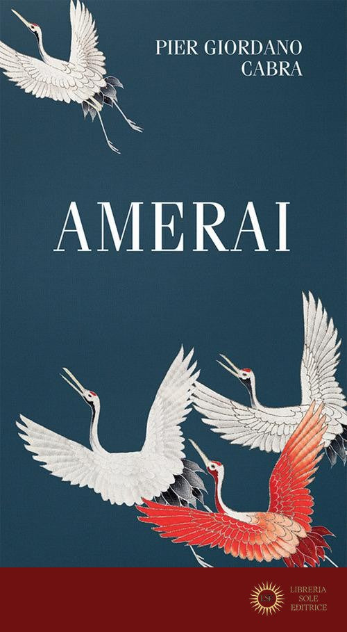Amerai. Riflessioni sull'amor di Dio nella vita di ogni giorno