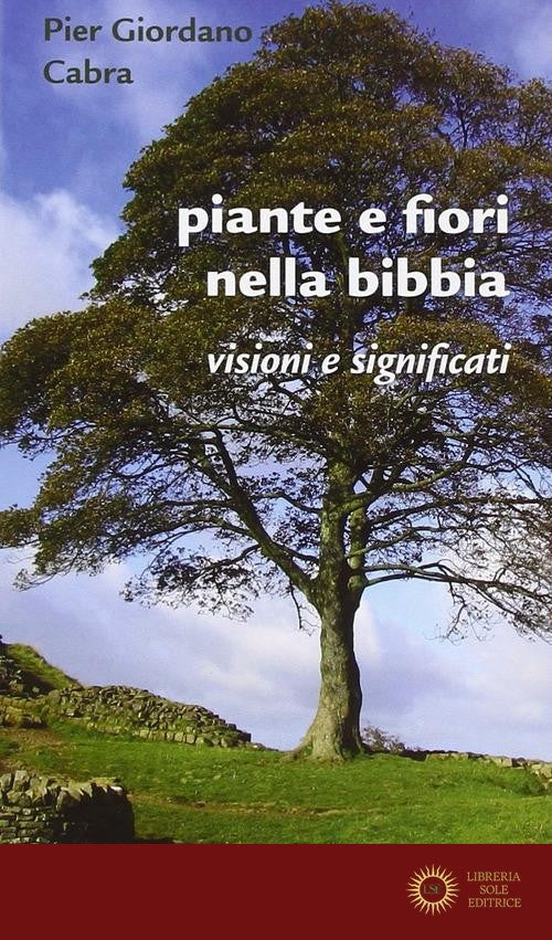 Piante e fiori nella Bibbia. Visioni e significati
