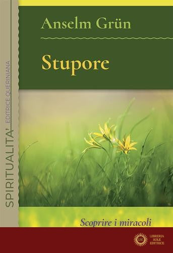 Stupore. Scoprire i miracoli nella quotidianità. Nuova ediz.