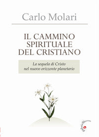 Il Cammino spirituale del cristiano. La sequela di Cristo nel nuovo orizzonte planetario - Carlo Molari
