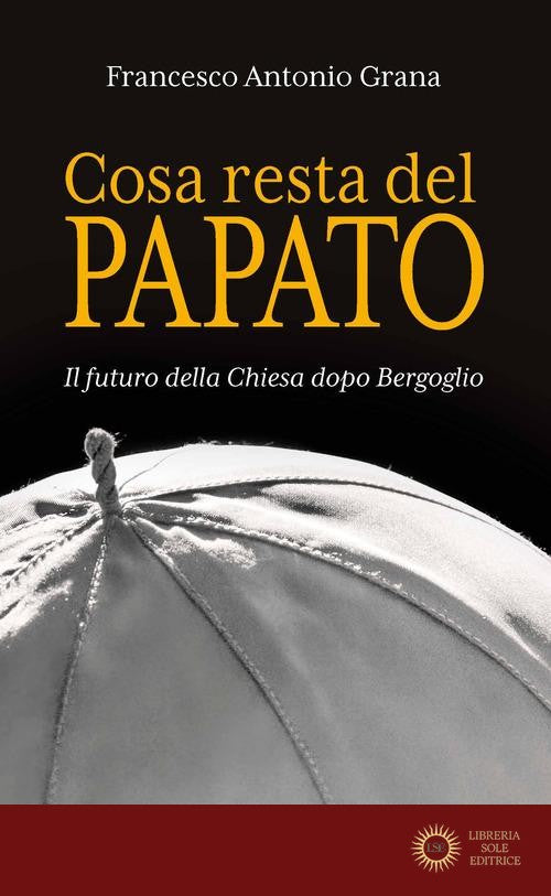 Cosa resta del papato. Il futuro della Chiesa dopo Bergoglio