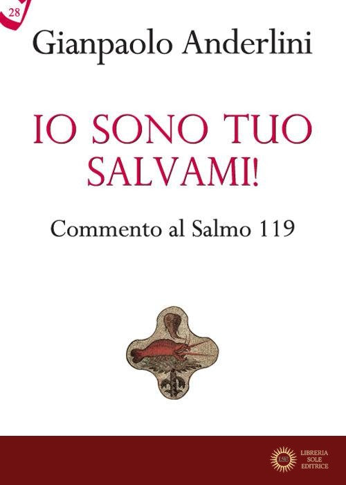 Io sono tuo, salvami! Commento al Salmo 119