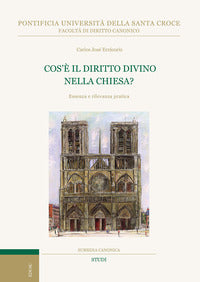 Cos'è il diritto divino nella Chiesa? Essenza e rilevanza pratica - Carlos José Errázuriz