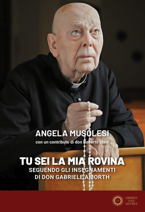 «Tu sei la mia rovina». Seguendo gli insegnamenti di don Gabriele Amorth - Angela Musolesi, Roberto Liani