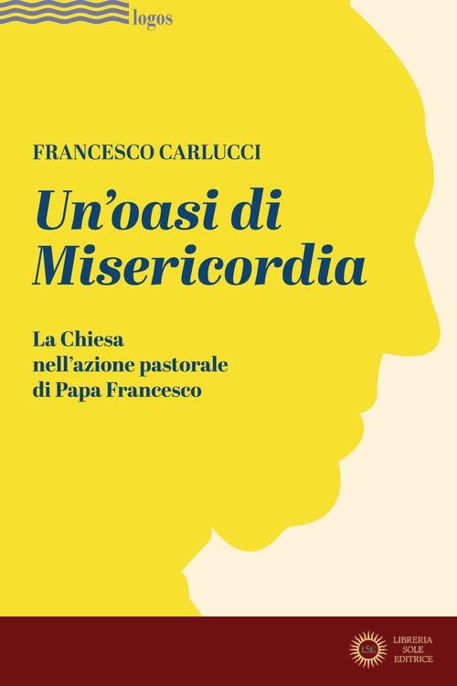 Un'oasi di misericordia. La Chiesa nell'azione pastorale di Papa Francesco